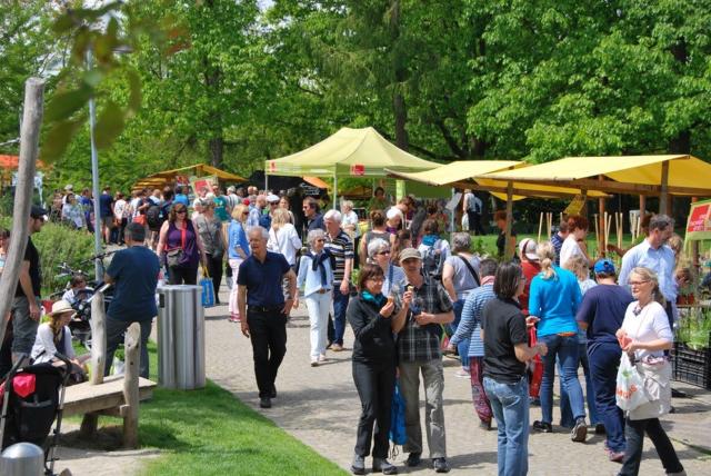 Raritäten für Garten und Balkon am Zierpflanzenmarkt