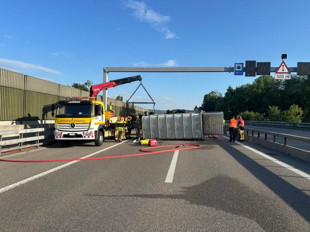 Autobahnunfall mit Anhänger – über 30 Schafe unverletzt gerettet