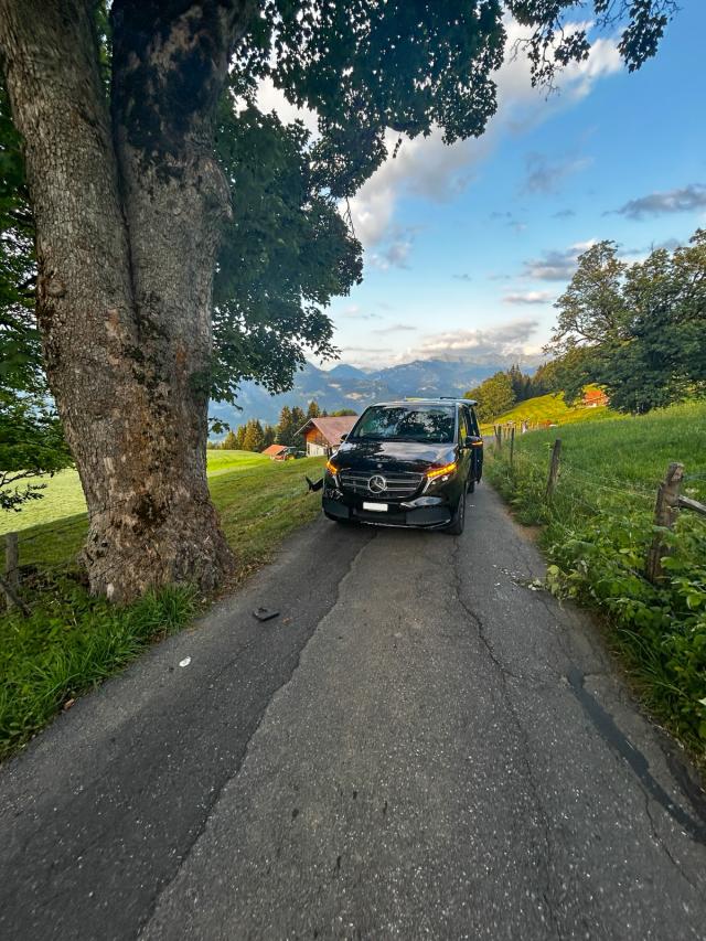Autofahrer stürzt nahe Brienz frontal in Baum – sieben Verletzte ins Spital gebracht Autofahrer stürzt nahe Brienz frontal in Baum – sieben Verletzte ins Spital gebracht