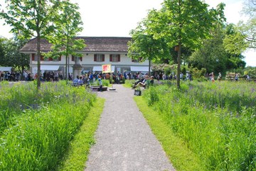 Raritäten für Garten und Balkon am Zierpflanzenmarkt