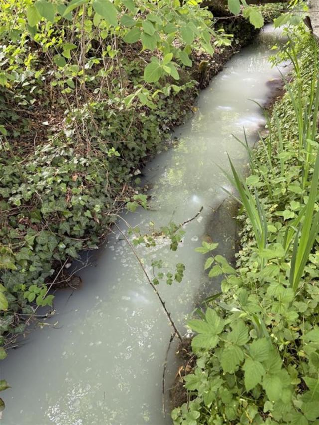 Milchfluss in Greng: Landwirt geständig und Anzeige erhoben