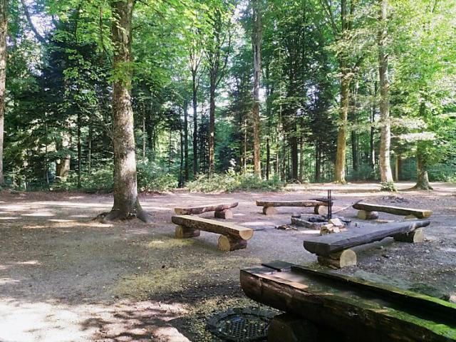 Universität Bern startet Besucherlenkung im Längholzwald