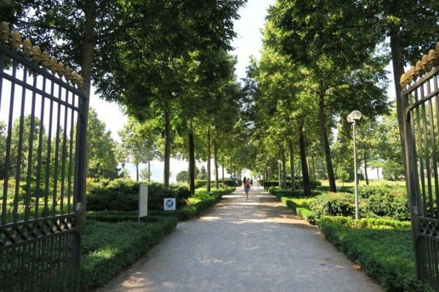 Der Rosengarten wird fit für die Zukunft Der Rosengarten wird fit für die Zukunft