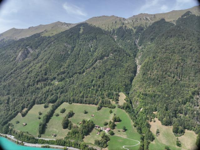 67-jähriger Walliser Mann stürzt im Staatswald bei Oberried am Brienzersee tödlich ab 67-jähriger Walliser Mann stürzt im Staatswald bei Oberried am Brienzersee tödlich ab