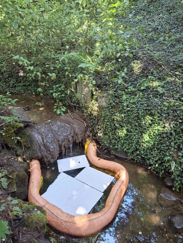 Verschmutzung eines Baches in Vuisterens-en-Ogoz