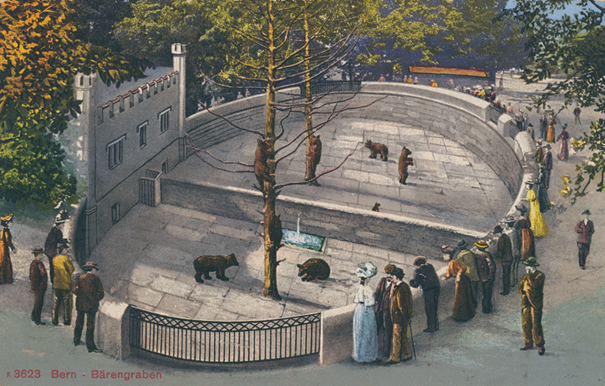 Von der Bärenburg zum BärenPark