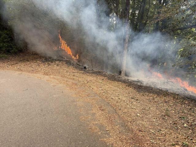 Brand im Wald von Cheyres: Feuer gelöscht, Hinweise auf menschliches Handeln; Kanister mit Benzinreste gefunden